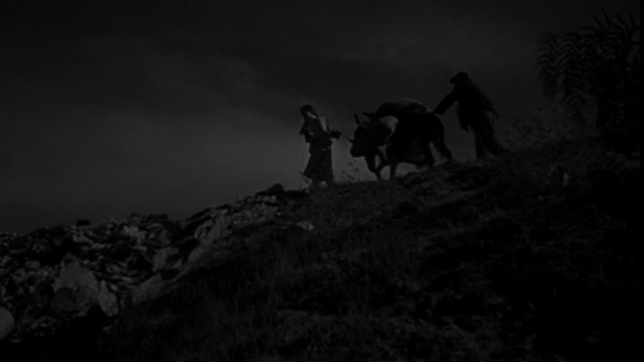 The Young and the Damned