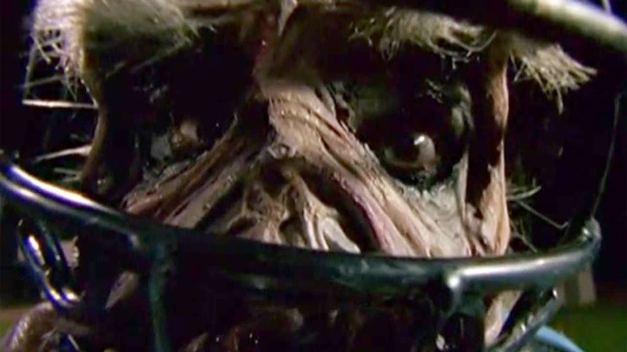 Goosebumps: Chillogy