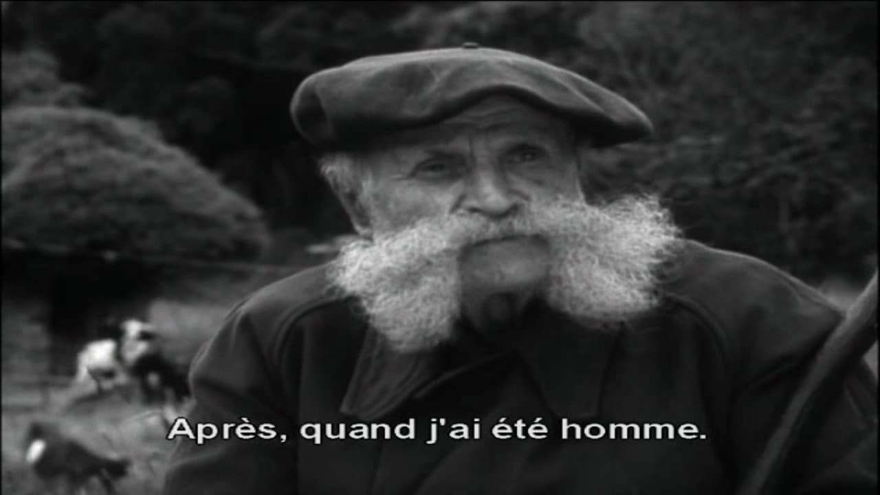 Maurin des Maures