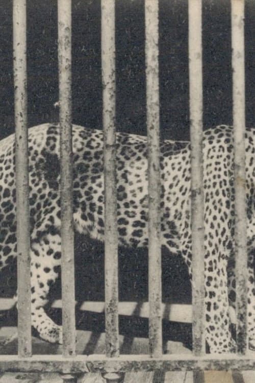 Zoo