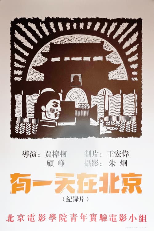 One Day in Beijing