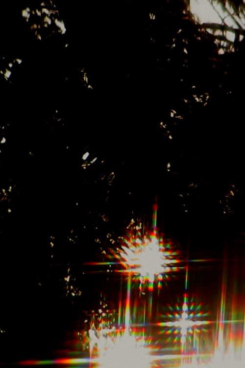 The Golden Bough