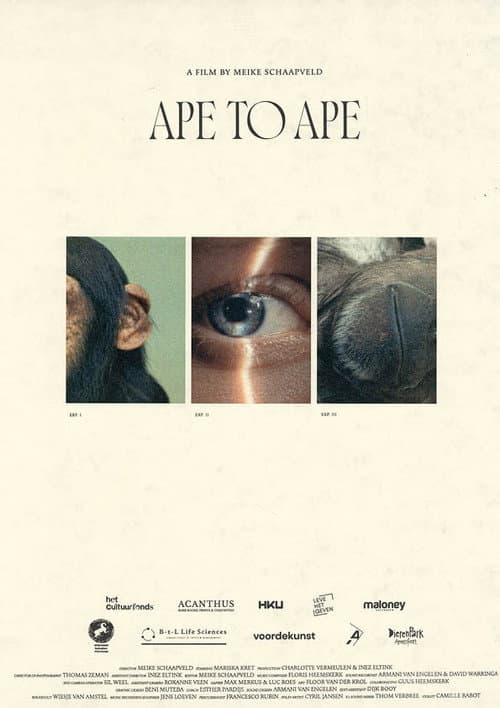 Aap tot Aap