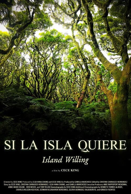 Island Willing