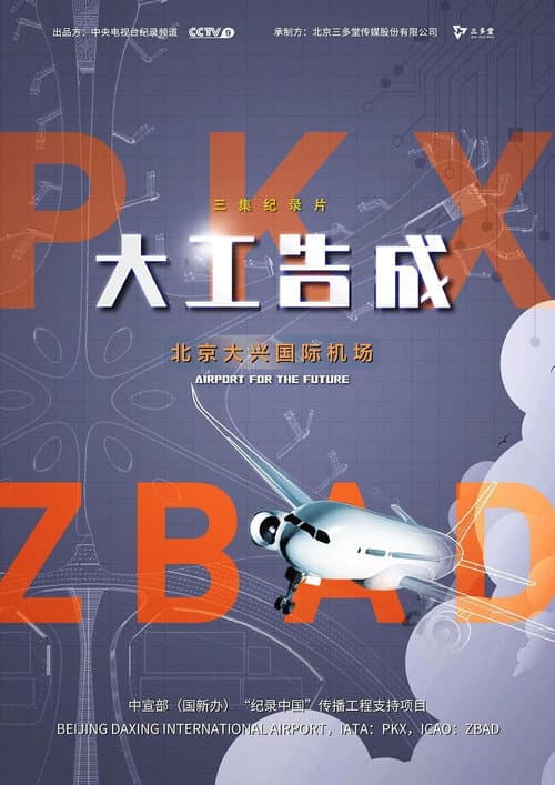 大工告成：北京大兴国际机场